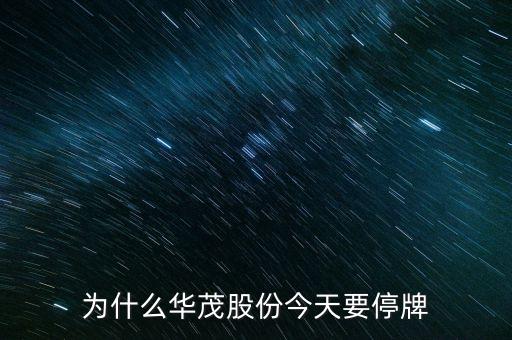 600366今日為什么停牌，600636為什么會停牌