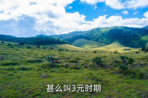 3元油價時代是什么時候，甚么叫3元時期