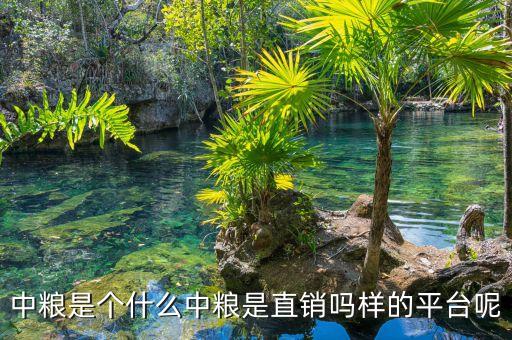 中糧明誠是什么，你好請問你在中糧生化衡水有限公司應(yīng)聘成功了嗎這個公司是