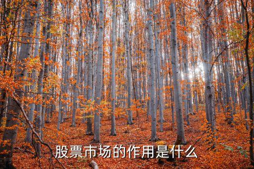 股票交易市場有什么意義，股票市場的作用是什么