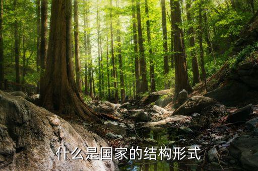 國家的結(jié)構(gòu)形式主要是調(diào)整什么，什么是國家的結(jié)構(gòu)形式