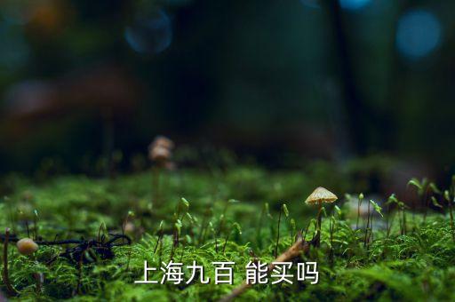上海九百是做什么的，上海九百怎么樣
