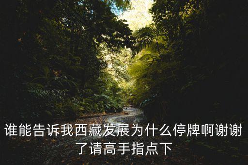 銀河投資什么時(shí)候復(fù)牌，銀河科技000806這個(gè)股票為什么連續(xù)停牌