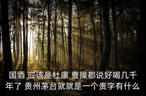 為什么不拿杜康當(dāng)國酒，為什么杜康酒沒有成為中國十大名酒之一