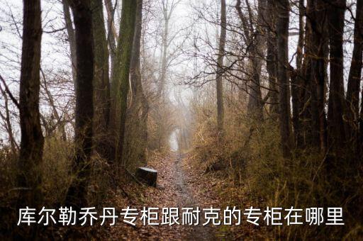 庫(kù)爾勒匯嘉有什么品牌，庫(kù)爾勒的匯嘉有沒(méi)有ZA化妝品專(zhuān)柜