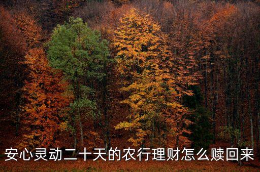 安心靈動20天什么時候可以贖回，安心靈動二十天的農(nóng)行理財(cái)怎么贖回來