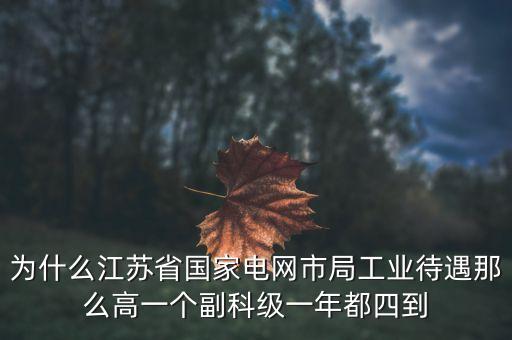 電力住房公積金為什么高，國家電網(wǎng)正式工公積金800元高嗎
