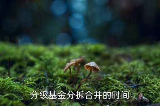 基金什么時候拆分，基金一般在什么時候拆分或分紅