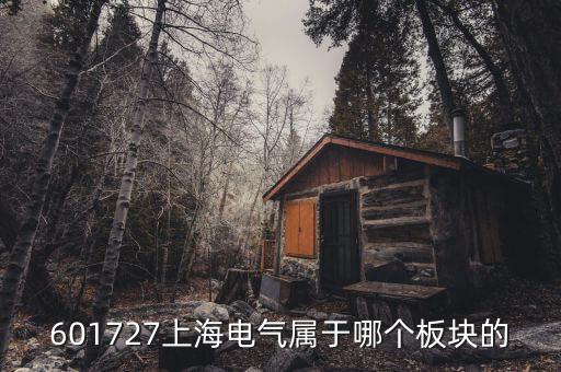 上海電氣什么行業(yè)，上海置信電氣股份有限公司是屬于什么行業(yè)