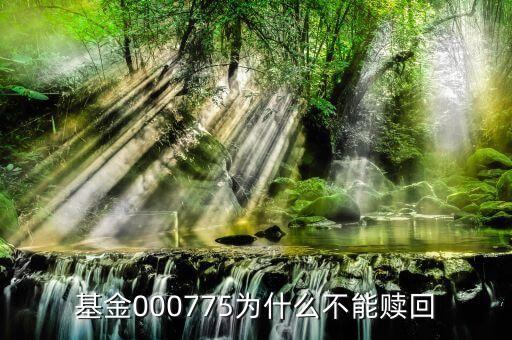 天弘瑞利什么時(shí)候開(kāi)放，天弘瑞利分級(jí)債券a贖回后什么時(shí)候到賬戶
