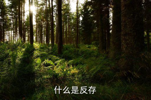 銀行倒存是什么意思，返存是什么