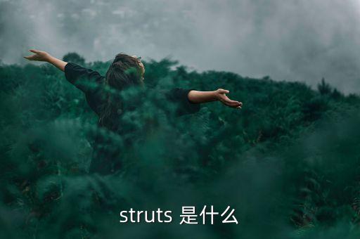 什么是中植系，struts 是什么