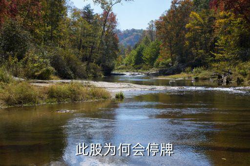 中瑞思創(chuàng)為什么停牌，停牌的原因是什么