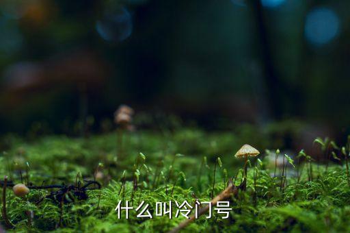 什么叫冷門股，楊子一老公叫什么名子