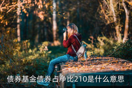 基金中的占凈比什么意思，債券基金債券占凈比210是什么意思