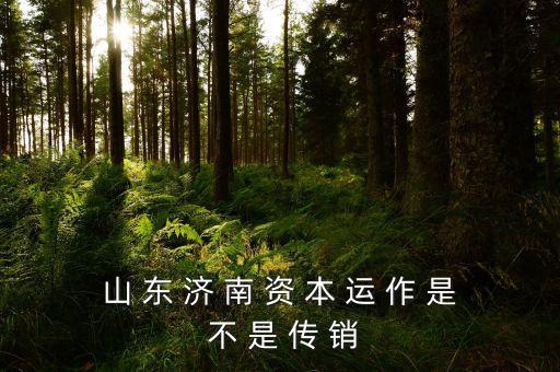 山 東 濟(jì) 南 資 本 運 作 是 不 是 傳 銷