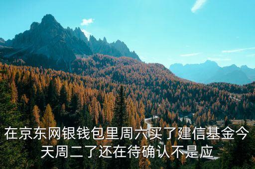 002378建信什么時候確認份額，在京東網(wǎng)銀錢包里周六買了建信基金今天周二了還在待確認不是應