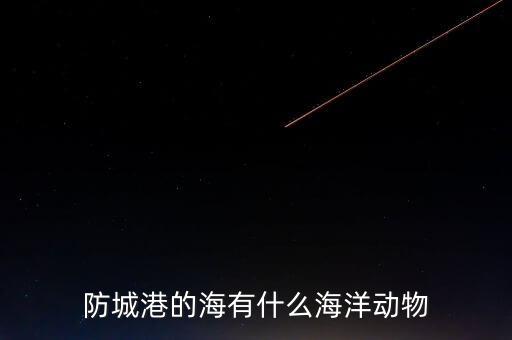 什么是沿邊金融，防城港的海有什么海洋動(dòng)物