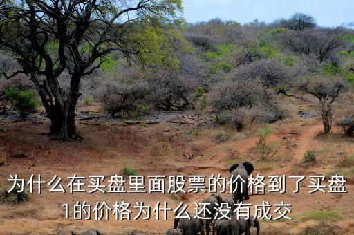 為什么股票買一價(jià)不交易，為什么在買盤里面股票的價(jià)格到了買盤1的價(jià)格為什么還沒有成交