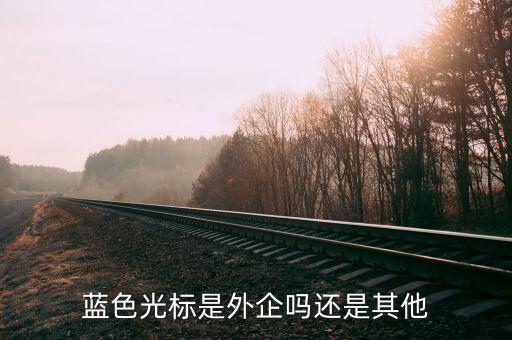 藍色光標(biāo)是外企嗎還是其他