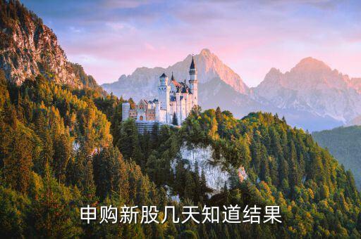博敏申購什么時候出結果，申購新股幾天知道結果
