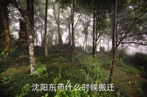 有沈陽東北制藥搬遷是什么時(shí)候嗎，沈陽東藥什么時(shí)候搬遷