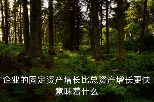 固定資產(chǎn)增長說明什么，流動資產(chǎn)固定資產(chǎn)長期投資都增加從公司資產(chǎn)規(guī)模及變動趨勢