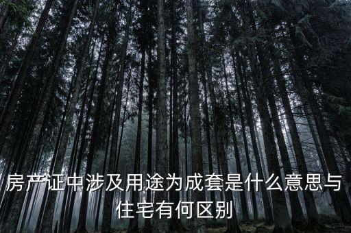 什么是成套項目，什么叫中型成套工程項目