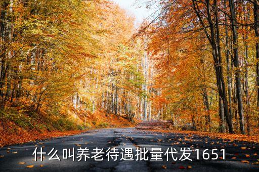 什么叫代發(fā)養(yǎng)老金，養(yǎng)老金代發(fā)機構(gòu)是指什么