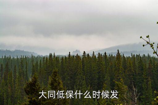 大同市學(xué)校低保補(bǔ)助什么時候到賬，大同低保什么時候發(fā)