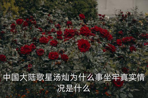 湯燦為什么要當情婦，誰知道湯燦怎么了