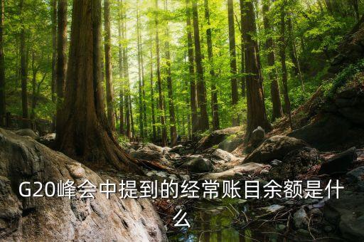 什么是經(jīng)常項(xiàng)目余額，經(jīng)常項(xiàng)目差額的什么是經(jīng)常項(xiàng)目差額