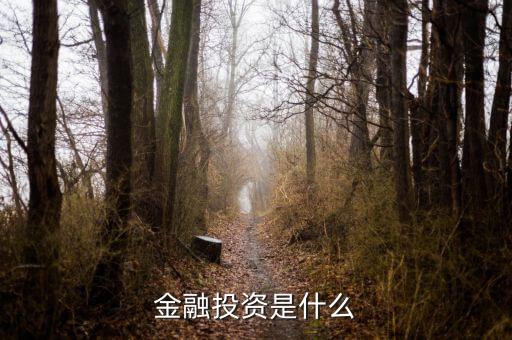 保險公司金融投資是做什么的，保險公司理財公司是干什么的