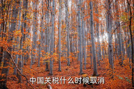 中國什么時候取消關稅，中國應該在哪年取消關稅