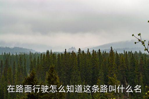 什么叫路條，什么叫做條條道路通羅馬