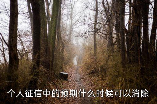 中國(guó)正信什么時(shí)候分紅，個(gè)人征信中的預(yù)期什么時(shí)候可以消除