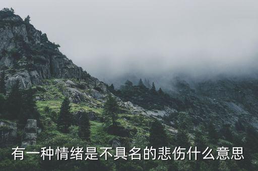 不愿具名是什么意思，有一種情緒是不具名的悲傷什么意思