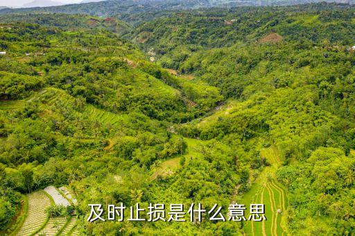 適時(shí)止損是什么意思，勿糾結(jié)于沉沒(méi)成本 即時(shí)止損什么意思