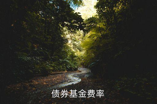 債券基金費率什么意思，債券基金費率