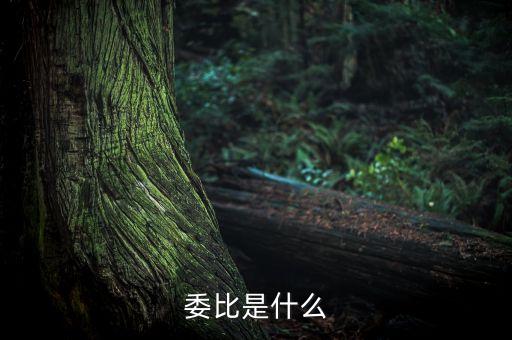 什么是委比指標(biāo)，股票里面的委比是什么意思
