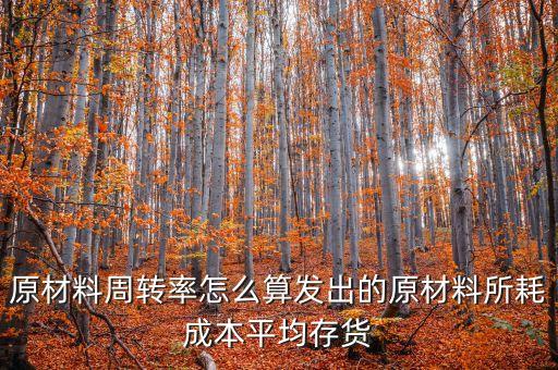 材料周轉(zhuǎn)率是什么，90原材料周轉(zhuǎn)率周轉(zhuǎn)天數(shù) 什么意思