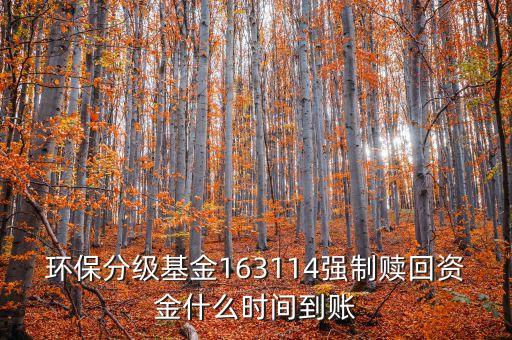 163114什么時(shí)候開盤，163114是個(gè)什么玩意啊賣也賣不出