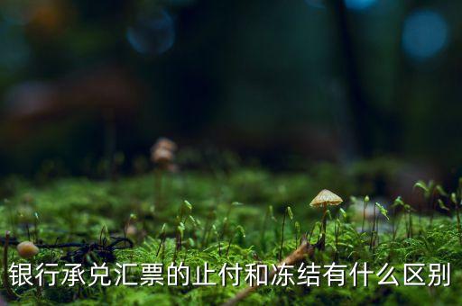 凍結(jié)止付什么意思，銀行承兌匯票的止付和凍結(jié)有什么區(qū)別