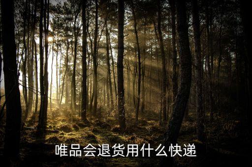在唯品會(huì)說的退貨包裹是什么，唯品會(huì)退貨的送貨單快遞是啥啊