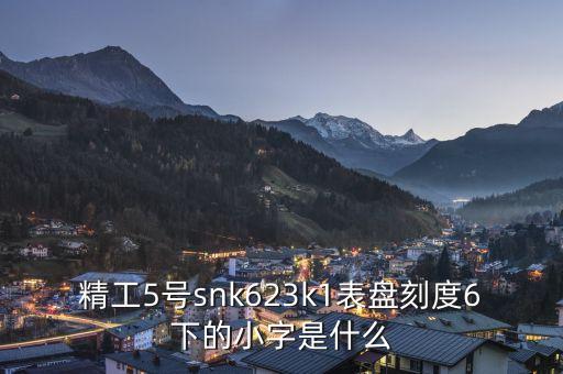 精工表中小表什么，精工手表4個小表盤是干甚么的