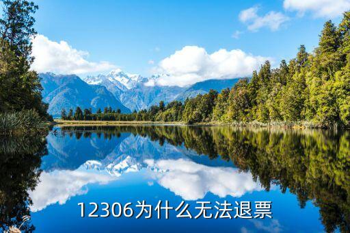 鐵路網(wǎng)為什么不能退票，12306為什么無法退票
