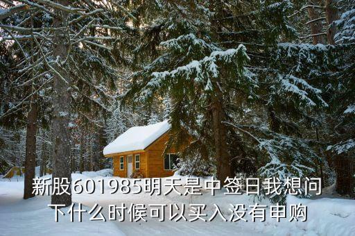 601985什么時(shí)候上市的，中國(guó)核電什么時(shí)候上市中國(guó)核電股票代碼多少