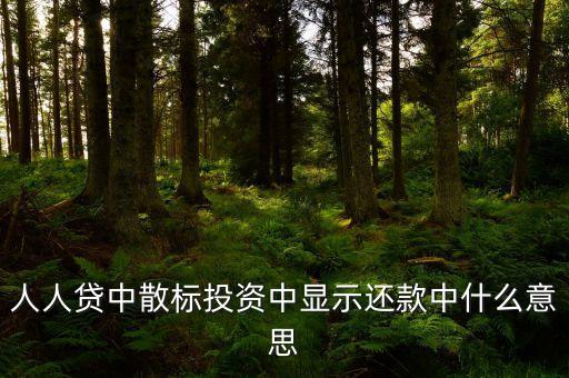 散標(biāo)是什么意思，散標(biāo)是什么