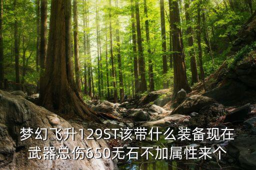 129st要什么裝備，夢幻飛升129ST該帶什么裝備現(xiàn)在武器總傷650無石不加屬性來個
