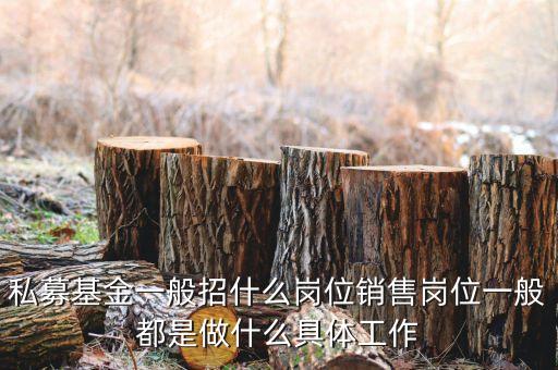 私募公司的市場部做什么，投資公司的市場部職員主要做什么